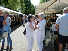 Uitvoering 2017 Muziektuin (21).jpg